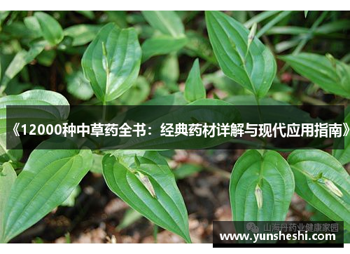 《12000种中草药全书：经典药材详解与现代应用指南》
