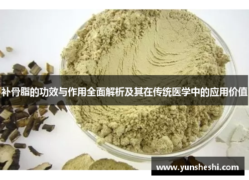补骨脂的功效与作用全面解析及其在传统医学中的应用价值